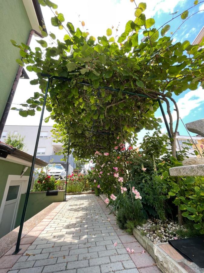 Apartment Zajim Umag